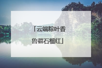 云端粽叶香 鲁疆石榴红
