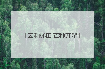 云和梯田 芒种开犁