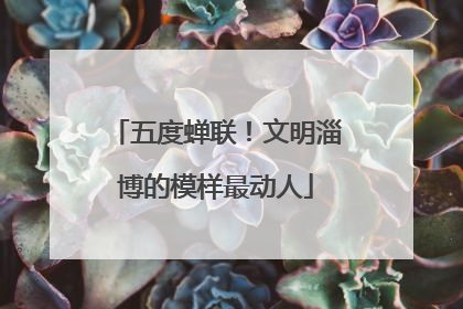 五度蝉联！文明淄博的模样最动人