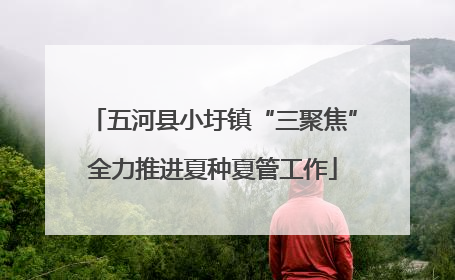 五河县小圩镇“三聚焦”全力推进夏种夏管工作