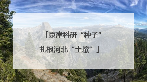 京津科研“种子”扎根河北“土壤”