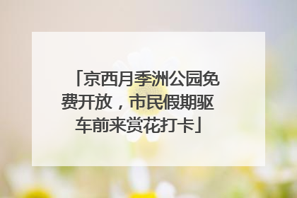京西月季洲公园免费开放，市民假期驱车前来赏花打卡