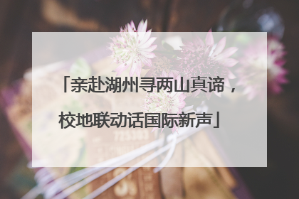 亲赴湖州寻两山真谛，校地联动话国际新声