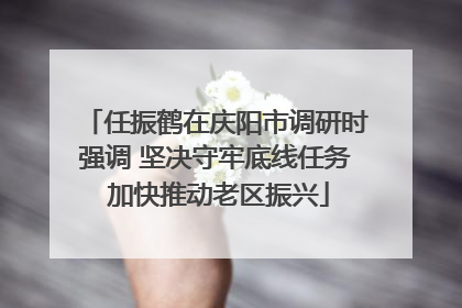 任振鹤在庆阳市调研时强调 坚决守牢底线任务 加快推动老区振兴