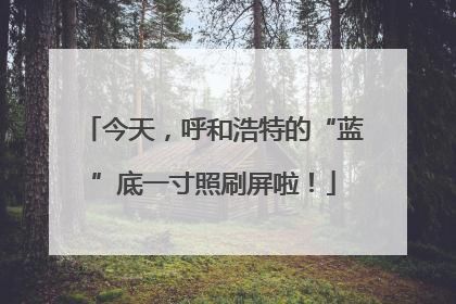 今天，呼和浩特的“蓝”底一寸照刷屏啦！