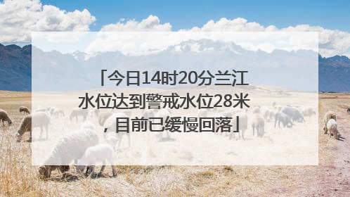 今日14时20分兰江水位达到警戒水位28米，目前已缓慢回落
