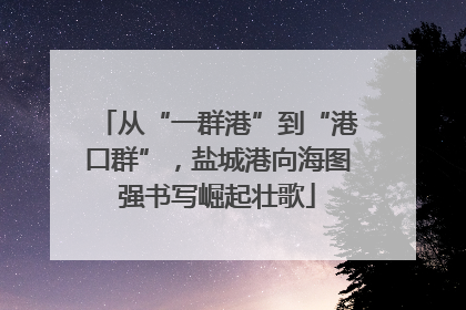 从“一群港”到“港口群”，盐城港向海图强书写崛起壮歌