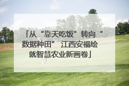 从“靠天吃饭”转向“数据种田” 江西安福绘就智慧农业新画卷