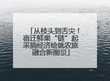 从枝头到舌尖！宿迁鲜果“链”起采摘经济绘就农旅融合新图景