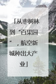 从枣树林到“百果园”，航空新城种出大产业