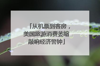 从机票到客房，美国旅游消费萎缩敲响经济警钟