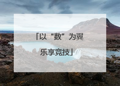 以“数”为翼 乐享竞技