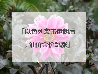 以色列袭击伊朗后，油价金价跳涨
