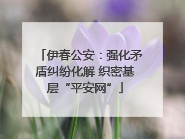 伊春公安：强化矛盾纠纷化解 织密基层“平安网”