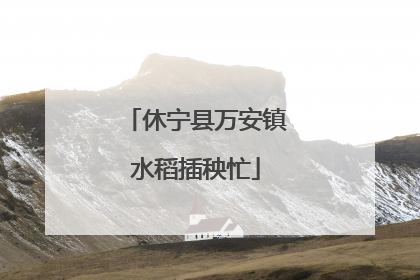休宁县万安镇水稻插秧忙