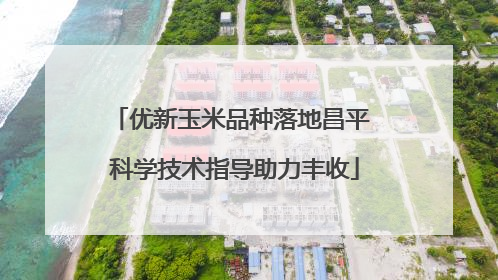 优新玉米品种落地昌平 科学技术指导助力丰收