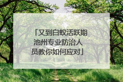 又到白蚁活跃期 池州专业防治人员教你如何应对