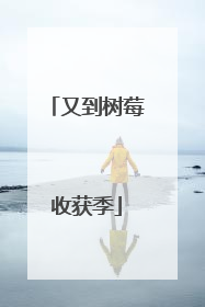又到树莓收获季