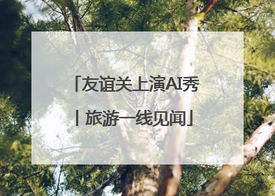 友谊关上演AI秀丨旅游一线见闻