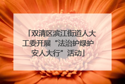 双清区滨江街道人大工委开展“法治护绿护安人大行”活动