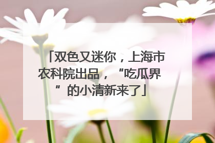 双色又迷你，上海市农科院出品，“吃瓜界”的小清新来了