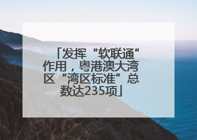 发挥“软联通”作用，粤港澳大湾区“湾区标准”总数达235项