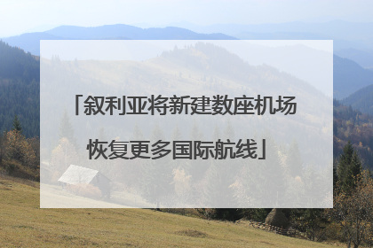 叙利亚将新建数座机场 恢复更多国际航线