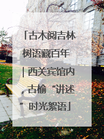 古木阅吉林 树语藏百年｜西关宾馆内，古榆“讲述”时光絮语