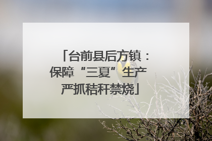台前县后方镇：保障“三夏”生产 严抓秸秆禁烧