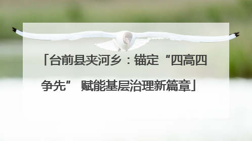 台前县夹河乡：锚定“四高四争先” 赋能基层治理新篇章