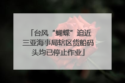 台风“蝴蝶”迫近 三亚海事局辖区货船码头均已停止作业