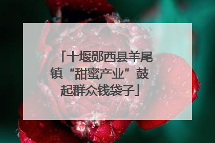 十堰郧西县羊尾镇“甜蜜产业”鼓起群众钱袋子