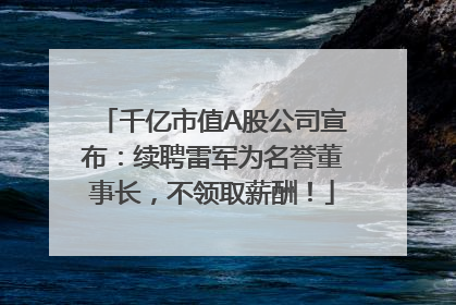 千亿市值A股公司宣布：续聘雷军为名誉董事长，不领取薪酬！