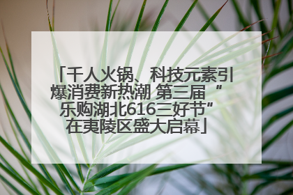 千人火锅、科技元素引爆消费新热潮 第三届“乐购湖北616三好节”在夷陵区盛大启幕