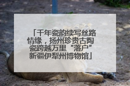 千年瓷韵续写丝路情缘，扬州珍贵古陶瓷跨越万里“落户”新疆伊犁州博物馆
