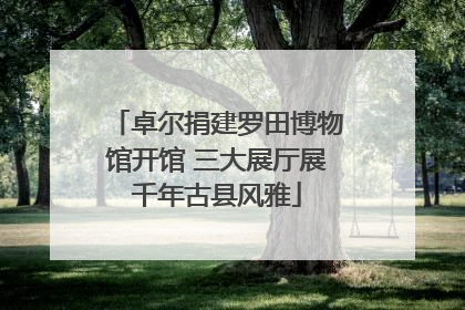 卓尔捐建罗田博物馆开馆 三大展厅展千年古县风雅
