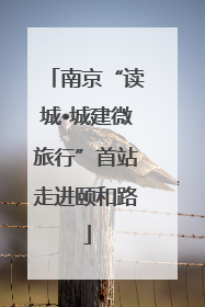 南京“读城•城建微旅行”首站走进颐和路