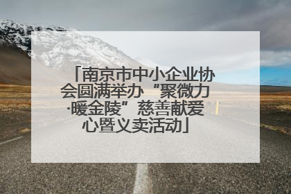 南京市中小企业协会圆满举办“聚微力·暖金陵”慈善献爱心暨义卖活动