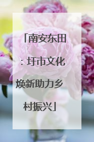 南安东田：圩市文化焕新助力乡村振兴