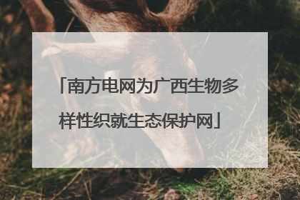 南方电网为广西生物多样性织就生态保护网