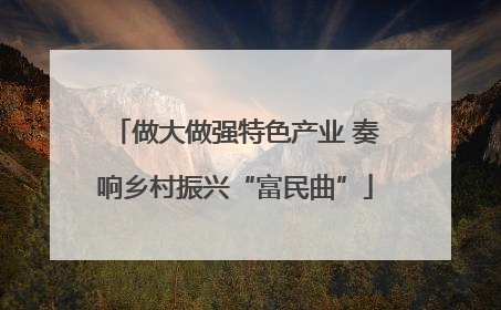 做大做强特色产业 奏响乡村振兴“富民曲”