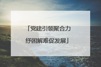 党建引领聚合力 纾困解难促发展