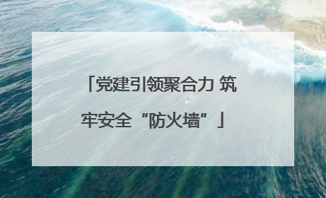 党建引领聚合力 筑牢安全“防火墙”