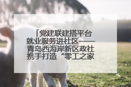 党建联建搭平台 就业服务进社区——青岛西海岸新区政社携手打造“零工之家”就业服务新阵地