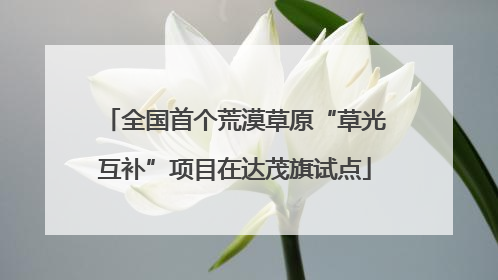 全国首个荒漠草原“草光互补”项目在达茂旗试点