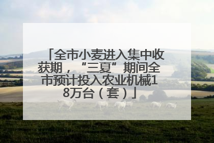 全市小麦进入集中收获期，“三夏”期间全市预计投入农业机械18万台（套）