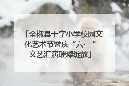 全椒县十字小学校园文化艺术节暨庆“六·一”文艺汇演璀璨绽放