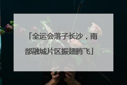 全运会落子长沙，南部融城片区振翅腾飞