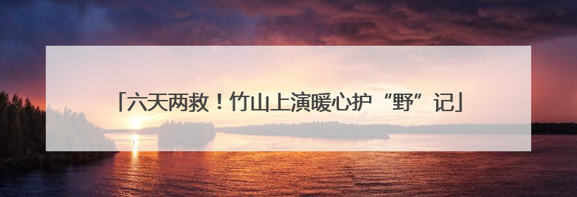 六天两救！竹山上演暖心护“野”记