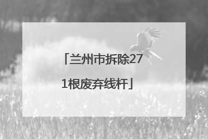 兰州市拆除271根废弃线杆